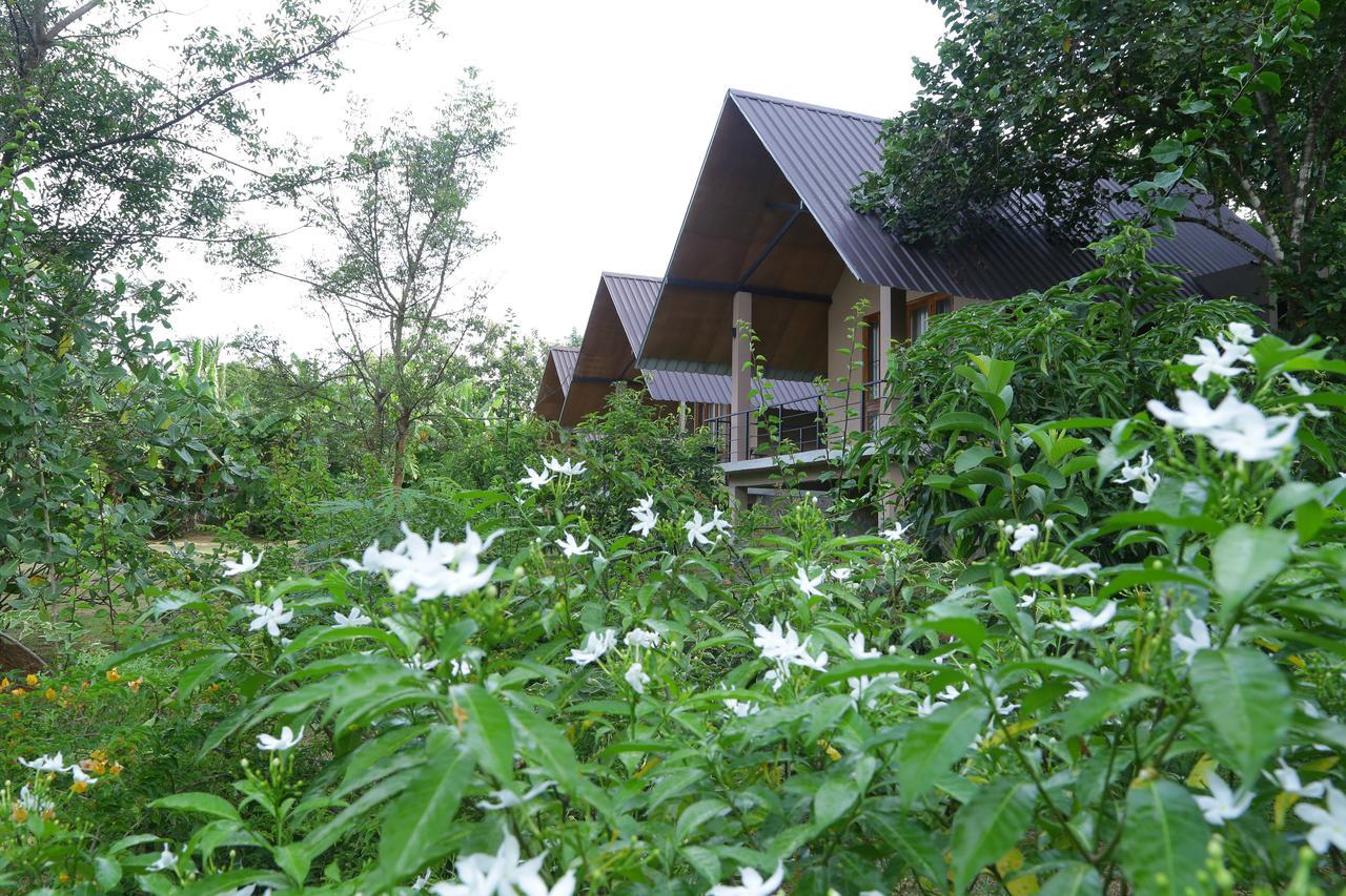 Hantara Udawalawa Udawalawe Exteriér fotografie