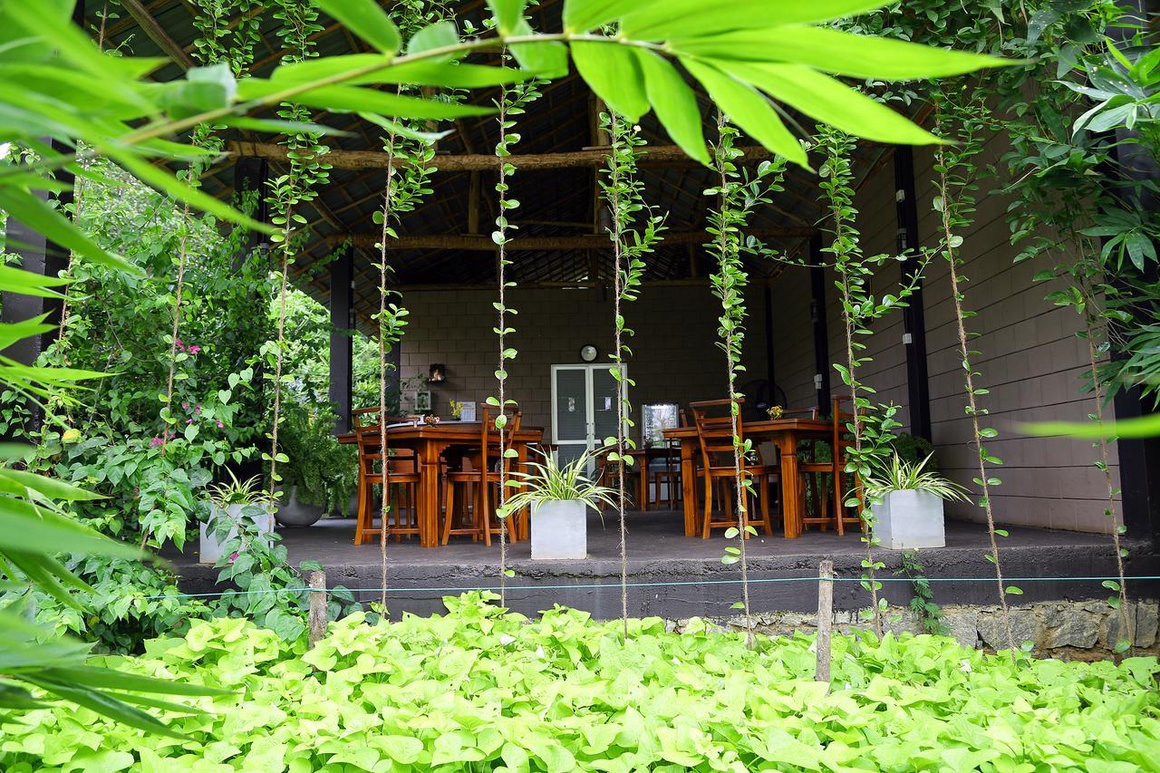 Hantara Udawalawa Udawalawe Exteriér fotografie