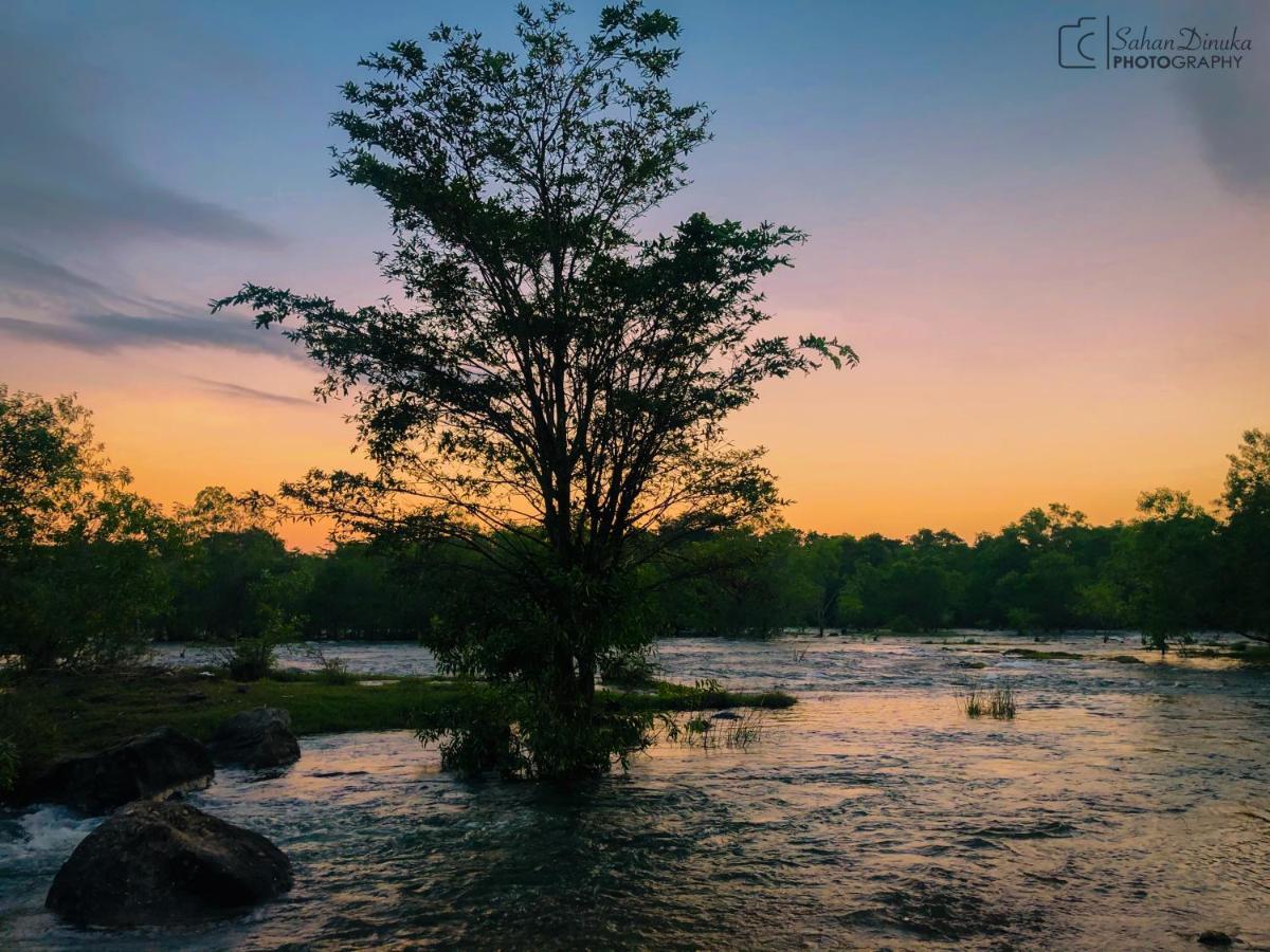 Hantara Udawalawa Udawalawe Exteriér fotografie