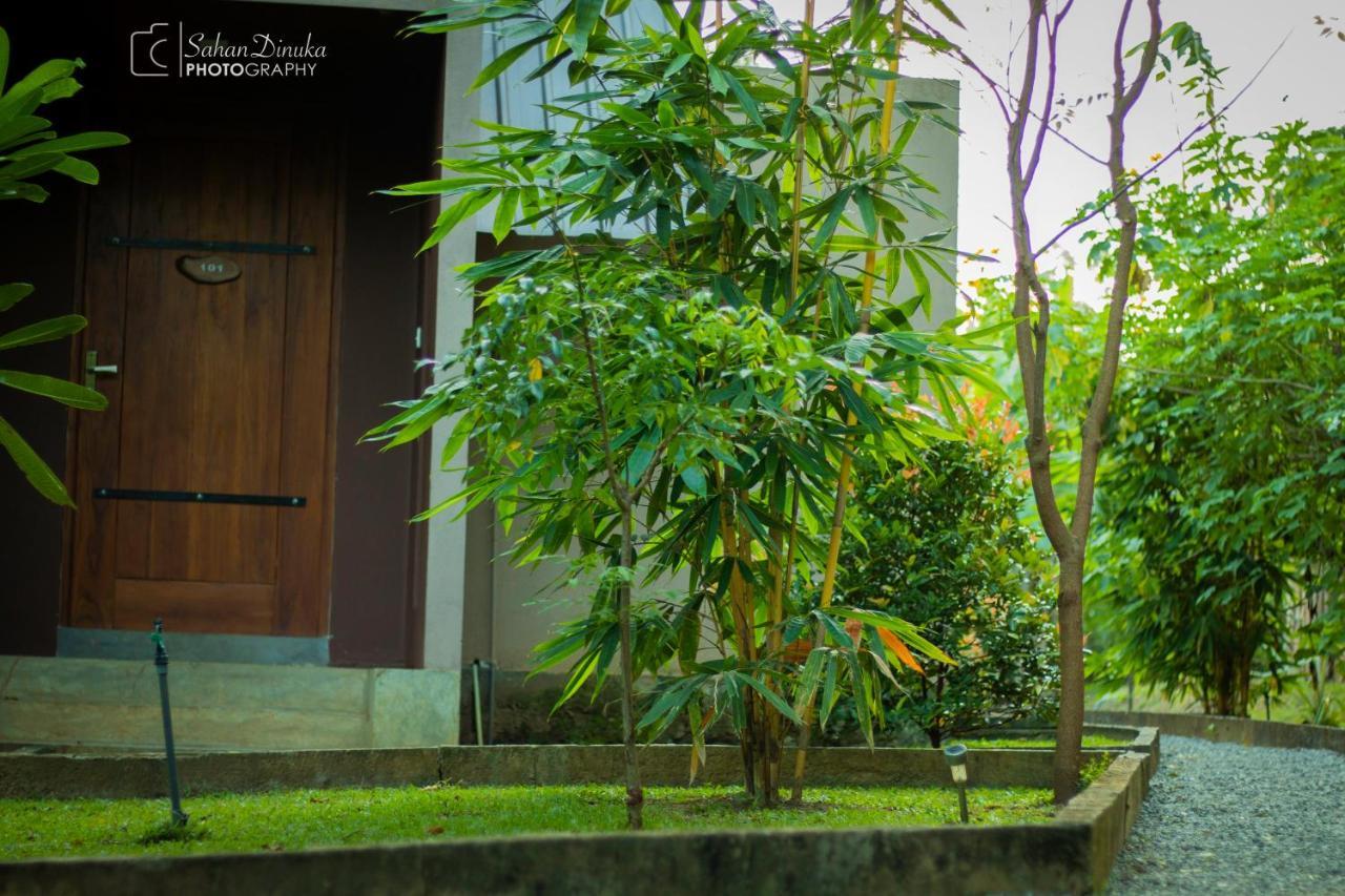 Hantara Udawalawa Udawalawe Exteriér fotografie