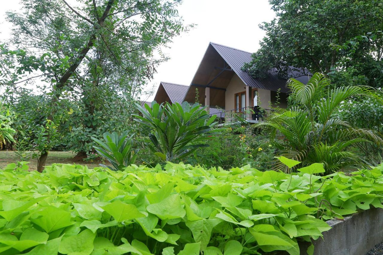Hantara Udawalawa Udawalawe Exteriér fotografie